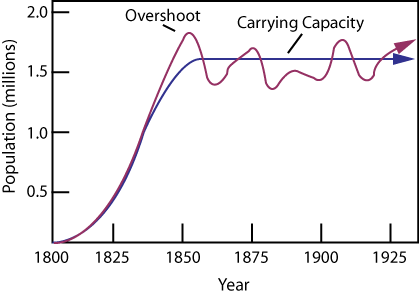 carrying capacity