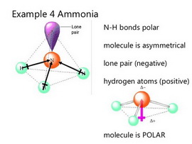 Ammonia polarity
