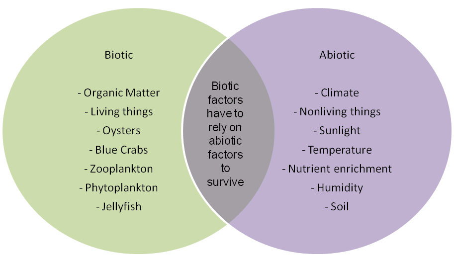 What Are Some Examples Of Biotic Factors In An Ecosystem Socratic