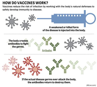https://globalvax.wordpress.com/tag/vaccines/