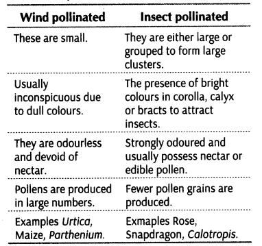http://www.learncbse.in/important-questions-for-class-12-biology-cbse-pollination/