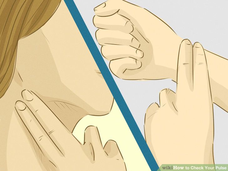 http://www.wikihow.com/Check-Your-Pulse