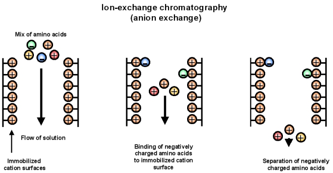 http://chemwiki.ucdavis.edu/Analytical_Chemistry/Instrumental_Analysis/Chromatography/Liquid_Chromatography/Ion_Exchange_Chromatography