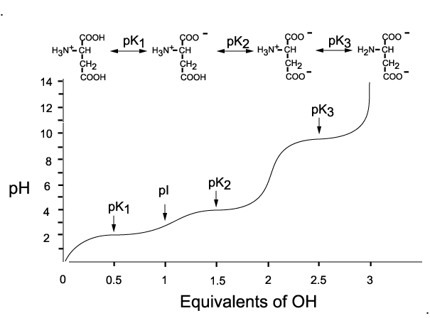 http://faculty.une.edu/com/courses/bionut/distbio/obj-512/Chap6-titration-aspartate.html