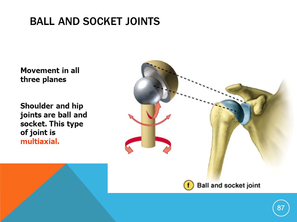 ball and socket joint mechanical