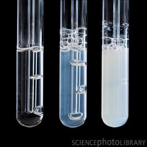 http://chemstuff.co.uk/analytical-chemistry/tests-for-gases/