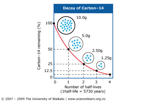 What percent of carbon 14 would be left after 5730 years?