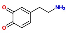 dopamine quinone