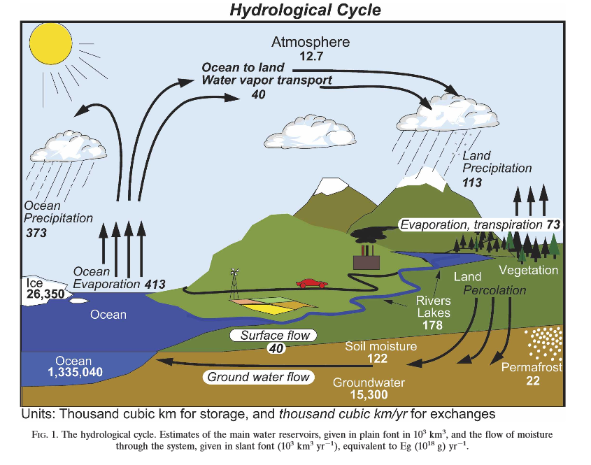 https://earthscience.stackexchange.com/questions/233/what-is-the-percentage-of-the-global-water-cycle-evaporation-precipitation-th