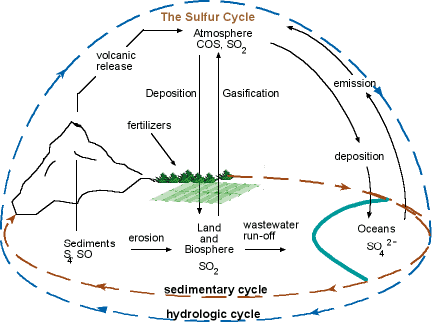 acid precipitation cycle