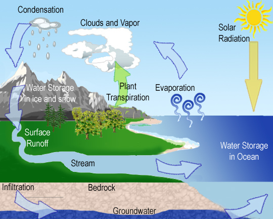 amistad Atar caos Can you explain the processes of condensation, evaporation, and  precipitation in the water cycle? | Socratic