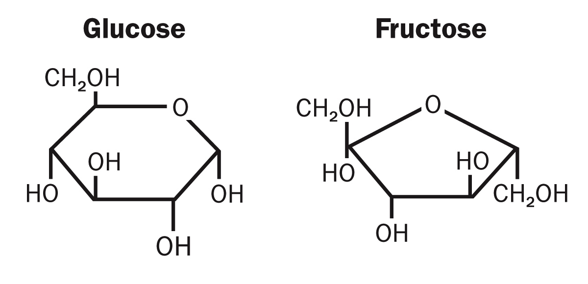 http://joelbergerdc.com/tag/glucose-vs-fructose/