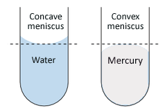 Image result for convex miniscus