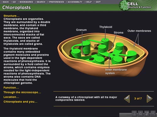 https://www.digitalfrog.com/store/Sciencematrix-Cell-Structure-and-Function-Annual-Subscription.html