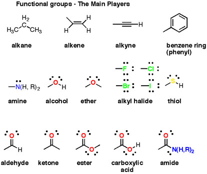 ethers hydrogen bond