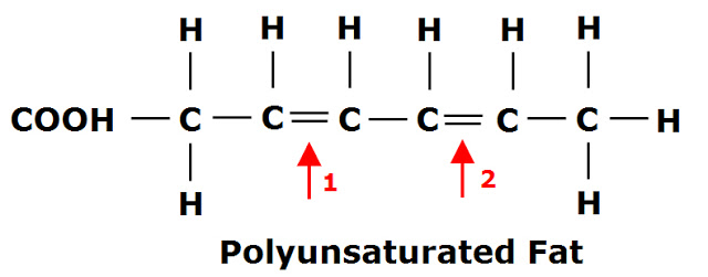 monounsaturated fats structure
