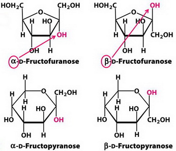 Fructose isomers