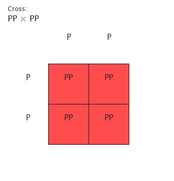 scienceprimer..com/punnett-square-calculator