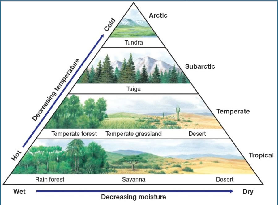 what-makes-biomes-different-from-each-other-socratic
