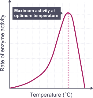 Optimum Temperature