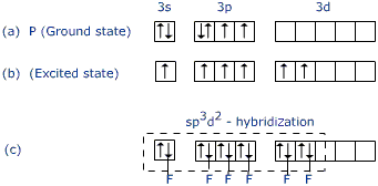 Xef4 Hybridization Structure