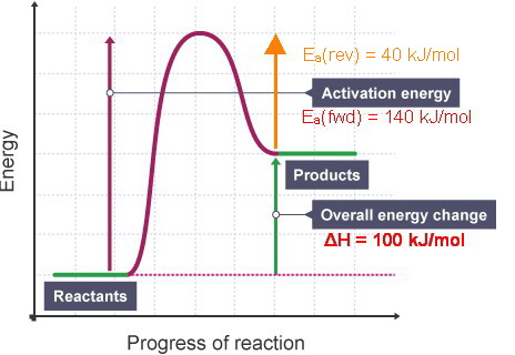 activation energy graph endothermic
