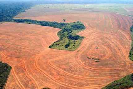 http://envirocivil.com/climate/harmful-effects-of-deforestation/ image source here