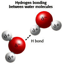 http://www.daviddarling.info/encyclopedia/H/hydrogen_bond.html