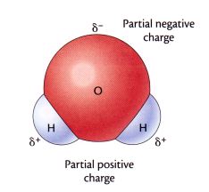 http://ths.talawanda.org/~bramblen/classroom/Chemistry/Notes/Section%201C/PollutantsinWater.htm