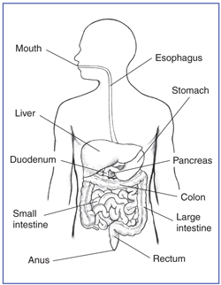 https://www.niddk.nih.gov/health-information/digestive-diseases/dumping-syndrome