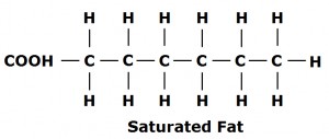 monounsaturated fats structure