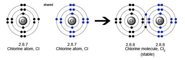 how-many-single-covalent-bonds-can-halogens-form-socratic