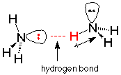 http://chemistry2.csudh.edu/rpendarvis/aminbassyn.html