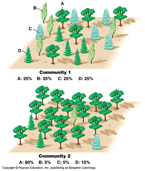 What Is The Difference Between Species Diversity And Species Richness 