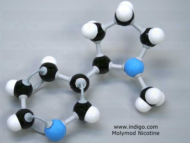 https://www.indigo.com/molecular_models/molymod/kits/nicotine-molecule-structure-model-kit-62207A.html