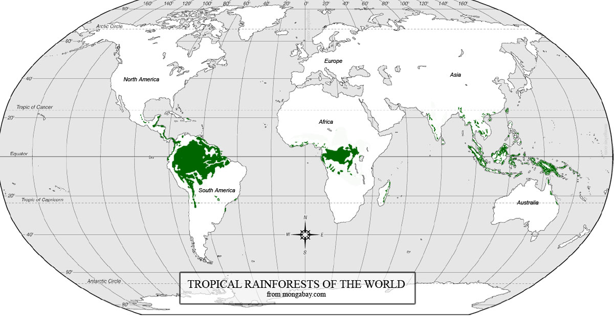 Why Are Tropical Rainforests Found Near The Equator Socratic