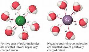 Ion-dipole forces between molecules from classconnection.s3.amazonaws.com