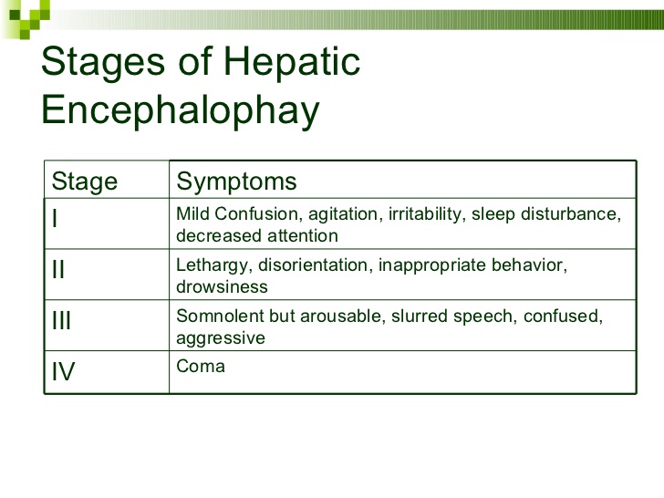 Hepatic Encephalopathy Scale