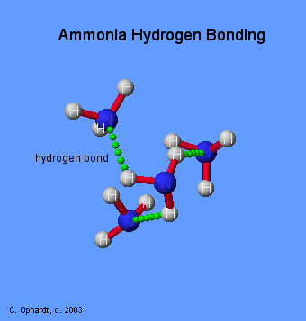 hydrogen bond in ammonia