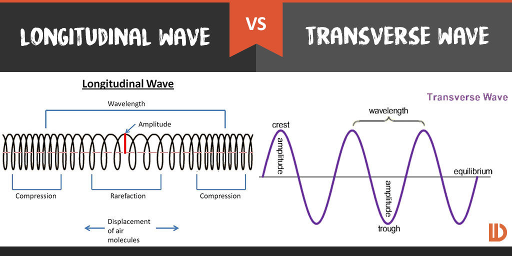 Compressions and rarefactions of a wave